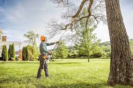 Best Hedge Trimming  in Fort Salonga, NY